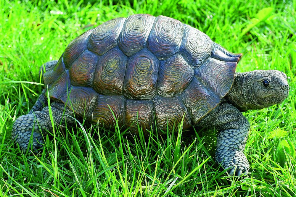 Schildkröte Kunstharz 34 cm Gartendeko Gartenfigur