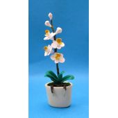 Weisse Orchidee im Blumentopf Puppenhaus Miniatur 1:12