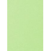 Karte / Kuvert C6, B6, A4, A5, Din lang Farbe: birkengrün