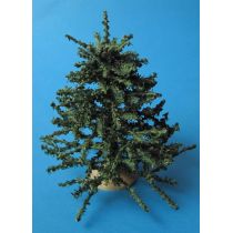 Weihnachtsbaum gross mit Ständer 16 cm Puppenhaus Miniatur 1:12