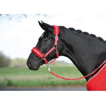 Halfter Silverhorse mit Soft-Fleece, Pony