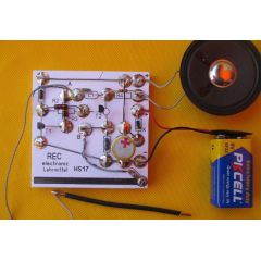 REC electronic Bleistiftstrich-Miniorgel Bausatz mit Lautsprecher auf Holzbrett