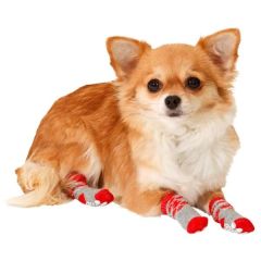 Karlie Doggy Socks Hundesocken 4er Set - Rot/Grau - XS