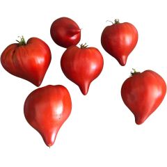 Tomate -Teton de Venus (Venusbrust Groß)- 10 Samen