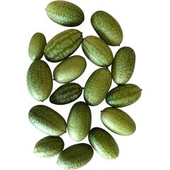 100+ Frische Mini-Gurken Samen (Blickfang Im Garten) -Mexikanische Mini Gurke-