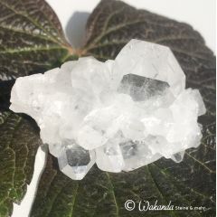 Bergkristall/Fadenquarz-Stufe Pakistan