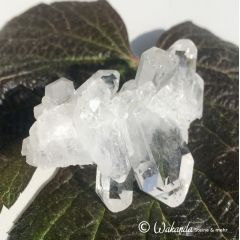Bergkristall/Fadenquarz-Stufe Pakistan