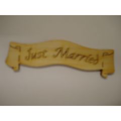 Banner Just married