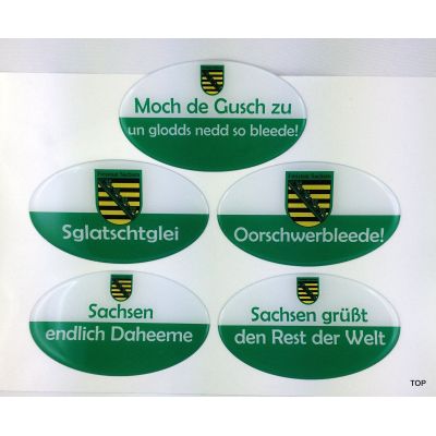 Sachsen Auto Aufkleber Sticker lustig Fanartikel Sglatschtglei Oorschwerbleede 