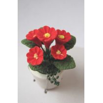 Rote Primeln  im Blumentopf Puppenhaus Miniatur 1:12