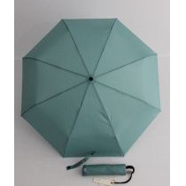 Esprit hellgrüner Regenschirm Automatik Taschenschirm Damen