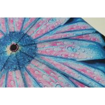 Susino blau geblümter Regenschirm Automatik Taschenschirm Damen 01