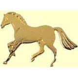 Pferde-Pin Galopp gold