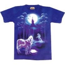 T-Shirt Kinder Einhorn: Kingdom of Unicorns, Gr. S (The Mountain)