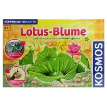 Experimentierkasten Lotus-Blume - ab 8 Jahren