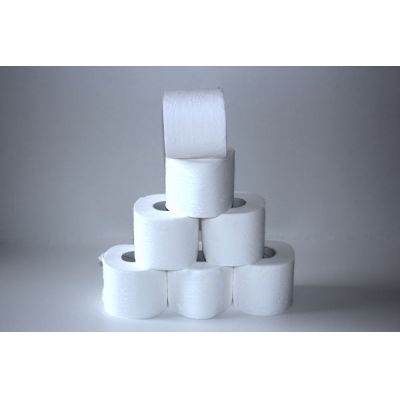 Toilettenpapier 48 Rollen 250 Blatt, 3 lagig, Zellstoff hochweiss | 00-000003.3 / EAN:0736846045058