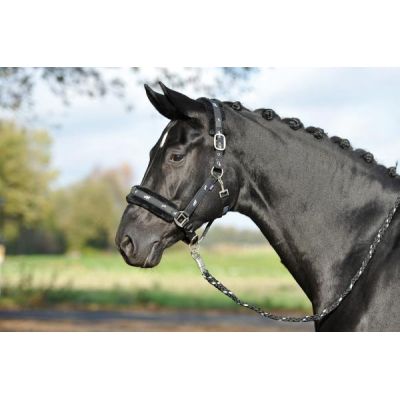 Dark brown, WB - Halfter Silverhorse mit Soft-Fleece | 601002-006