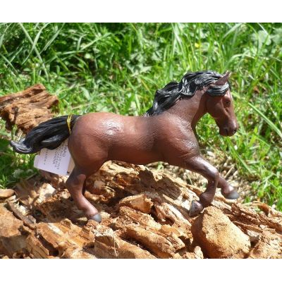 Haflinger Pferd PAPO | PAPO-51118