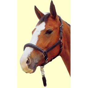 Lederhalfter Horse | 600101-06