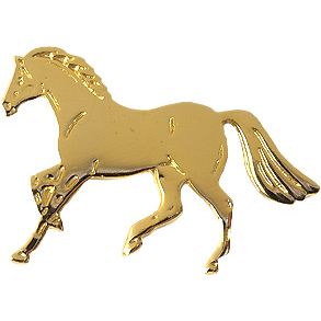 Pferde-Pin gold Galopp | 20552-25