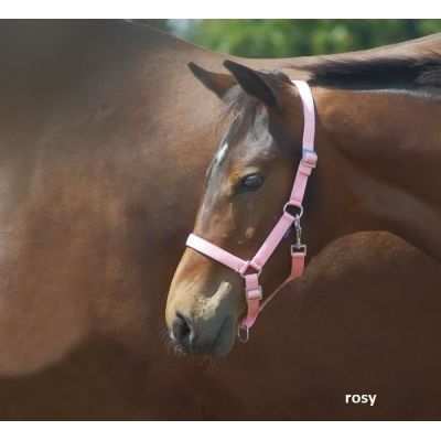 Rosy - Busse Fohlenhalfter / Shettyhalfter YOUNG | 601904-06