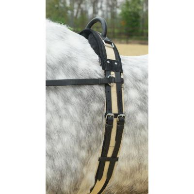 Schwarz / beige, Pony - Longiergurt mit Griff | 129202-06