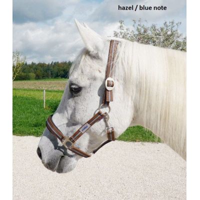 Silver grey / regal blue Pony - Halfter Supreme, weich unterlegt | 601207-06