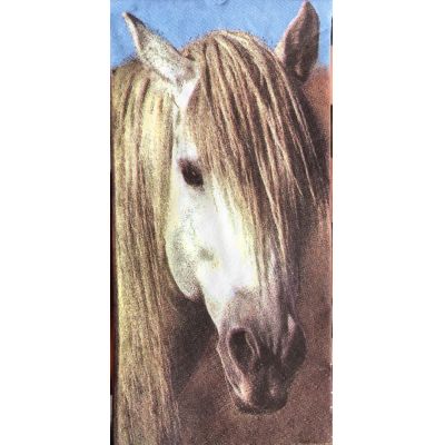Taschentücher Pferd Schimmel | TATU-SCH