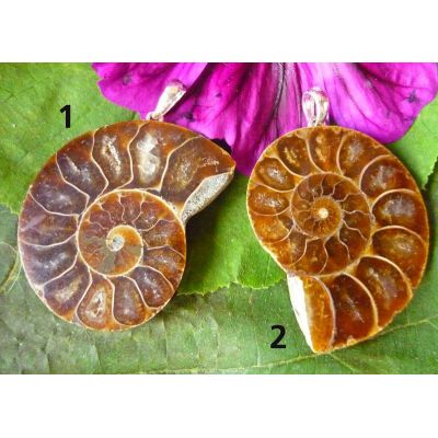 Ammonit (Madagaskar), Anhänger mit Silberöse | 131-AMMO-1407