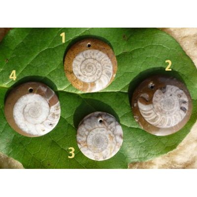 Anhänger Nr. 3 - Anhänger Ammonit Kreis | 583566060