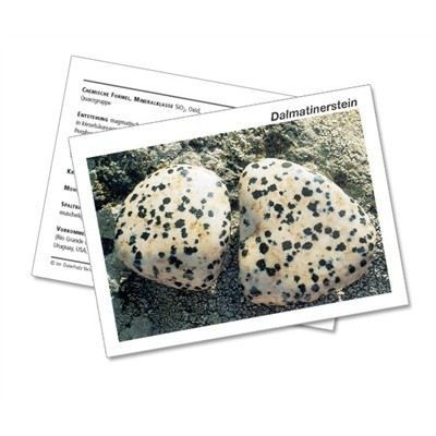 Infokarte / Mineralienkarte Dalmatinerstein | 810-11040