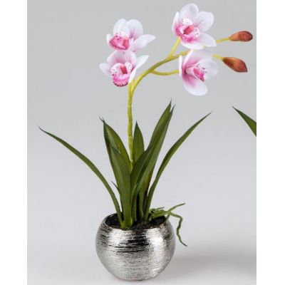 Wunderschöne rosa Orchidee im Silbertopf, 36 cm | 11582667 / EAN:4025809668622