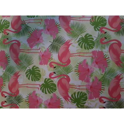 01 Flamingo - Fotokarton Tropical verschiedene Designs incl. 2. Rückseite | 11722201