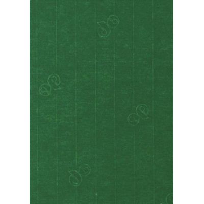 B6 Karte - Karte / Kuvert C6, B6, A4, A5, Din lang Farbe: racing grün | 650292- 309
