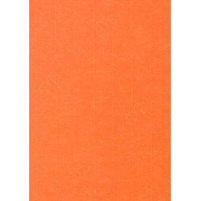 B6 Karte langdoppelt - Karte / Kuvert C6, B6, A4, A5, Din lang Farbe: hummerrot | 650796- 545