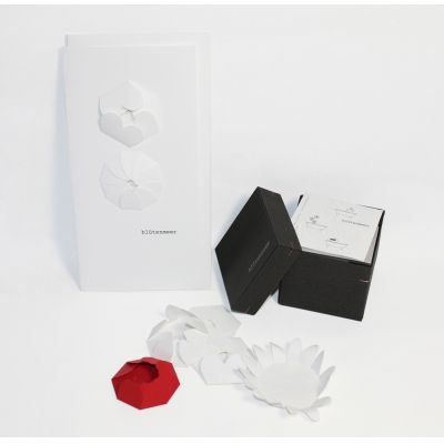 Box mit 20 Papierblumen - Grußkarte Blütenmeer - Karte mit Papierblüten | 857021821