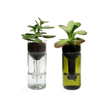 Pflanzglas self watering bottle mit - Glas in moosgrün | 4023116411252 / EAN:4023116411252
