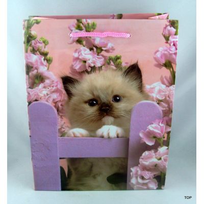 Am Stuhl - Geschenktüte mit Tiermotiv Katzenbabys Maße: 23 x 18 x 8 cm | GV-51652 / EAN:4015861516528
