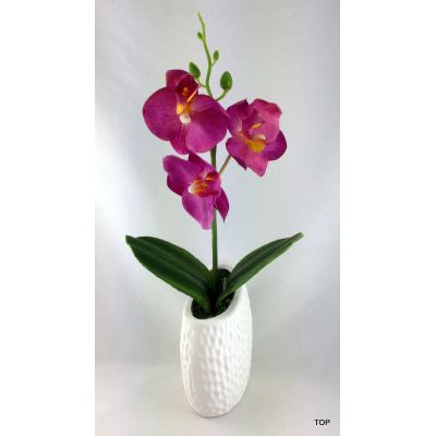 Künstliche Orchidee Deko Orchideen Kunstpflanze mit Keramiktopf | 49792 / EAN:4015861497926