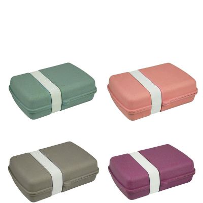 Violett - Zuperzozial Lunchbox Lunchtime versch. Farben Brotzeitbox Brotdose Brotbox Bambus Mais nachhaltig umweltfreund | 14108
